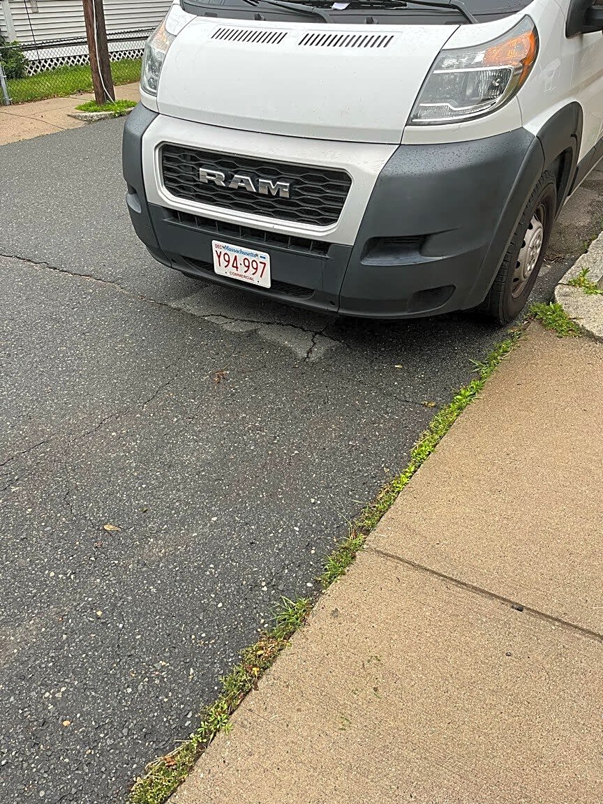 Image submitted with report