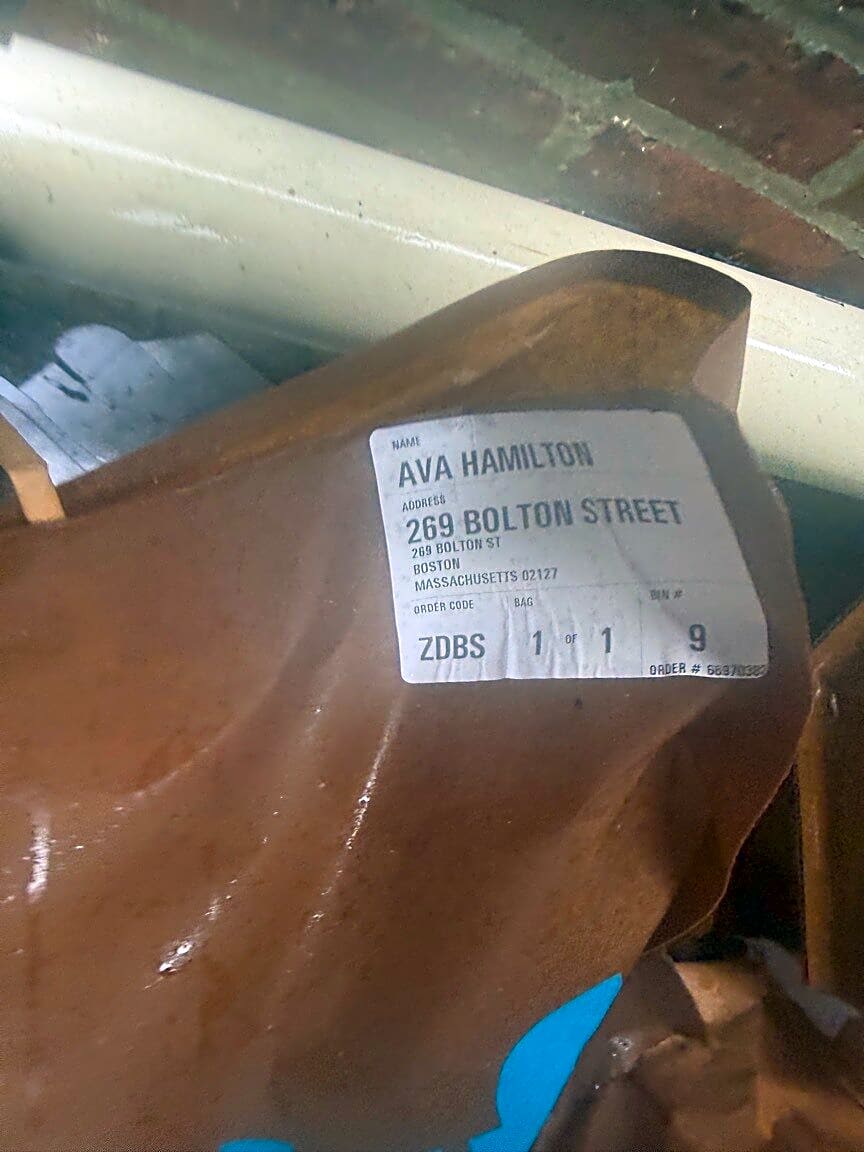 Image submitted with report