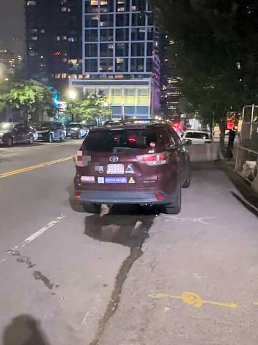 Image submitted with report