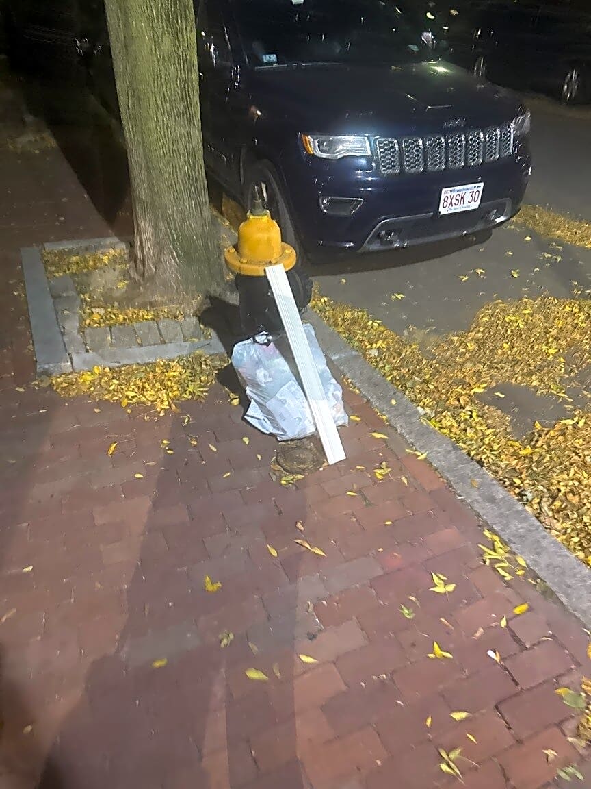 Image submitted with report