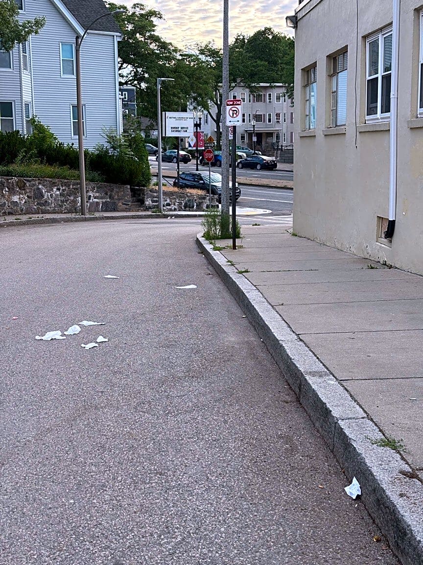 Image submitted with report