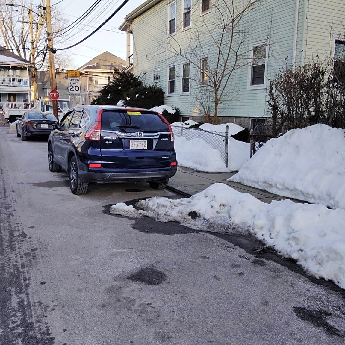 Image submitted with report