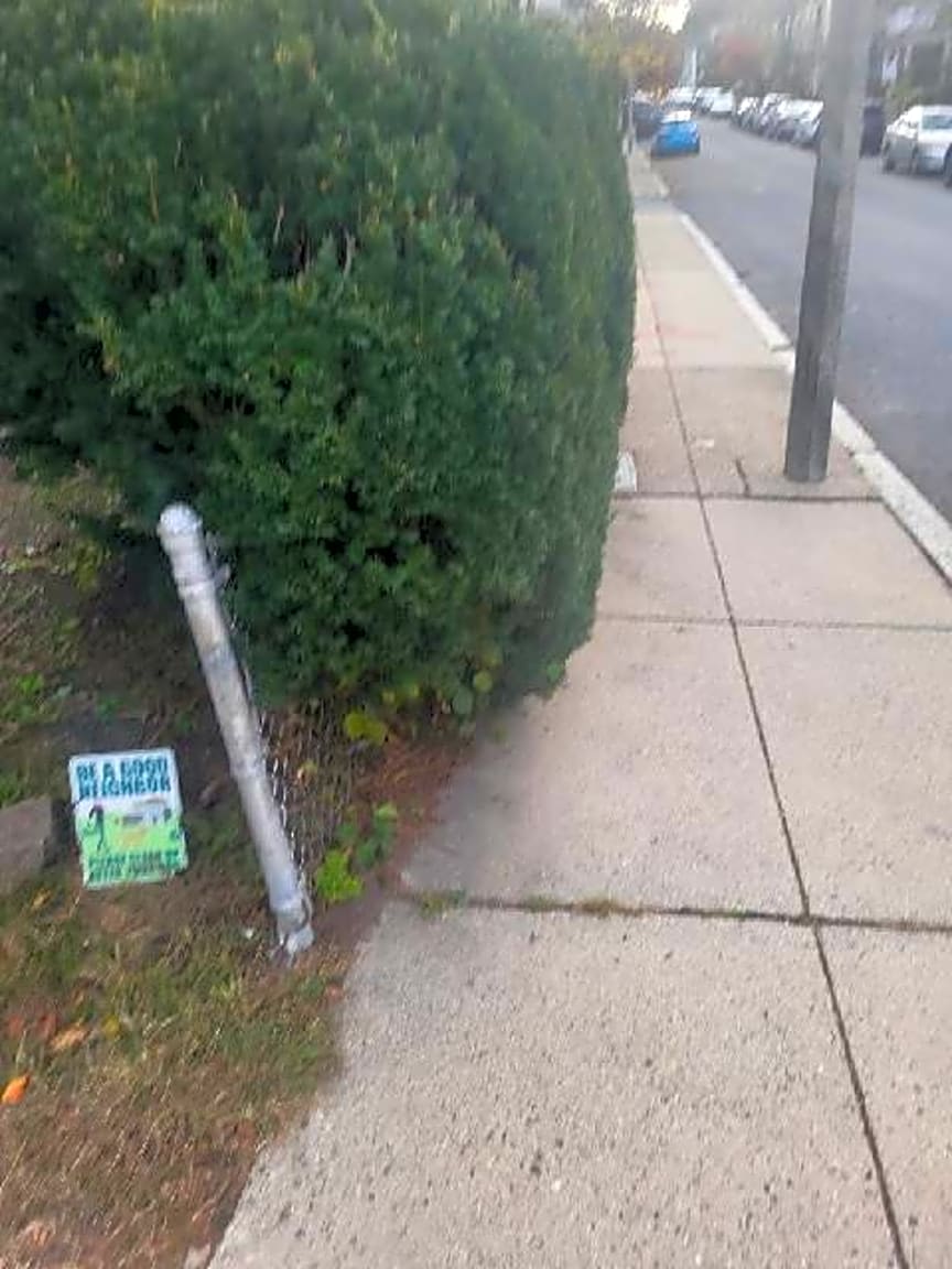 Image submitted with report