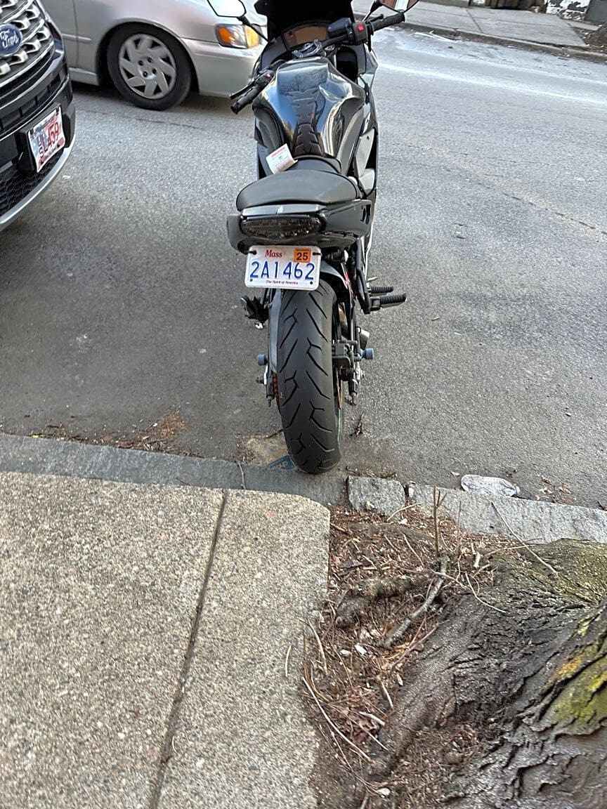 Image submitted with report