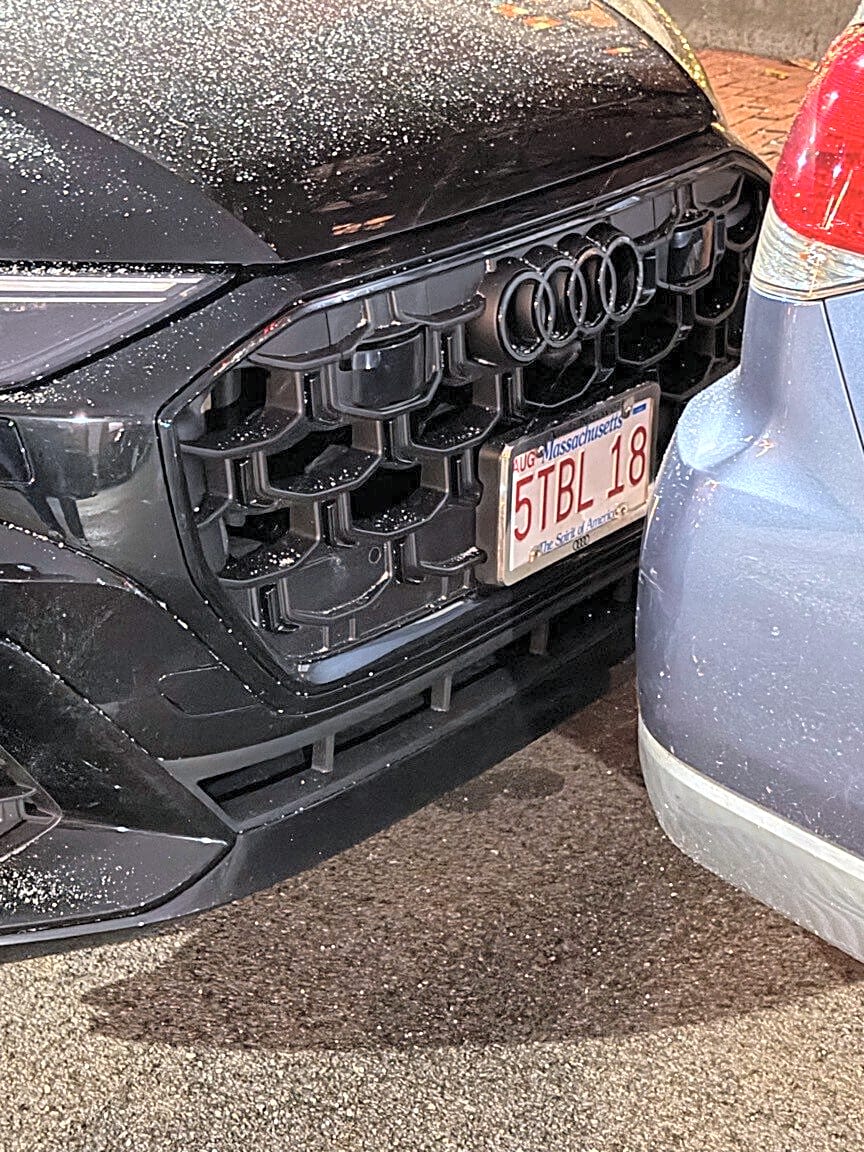 Image submitted with report