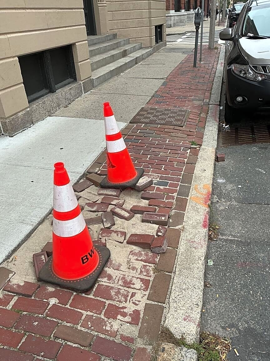 Image submitted with report