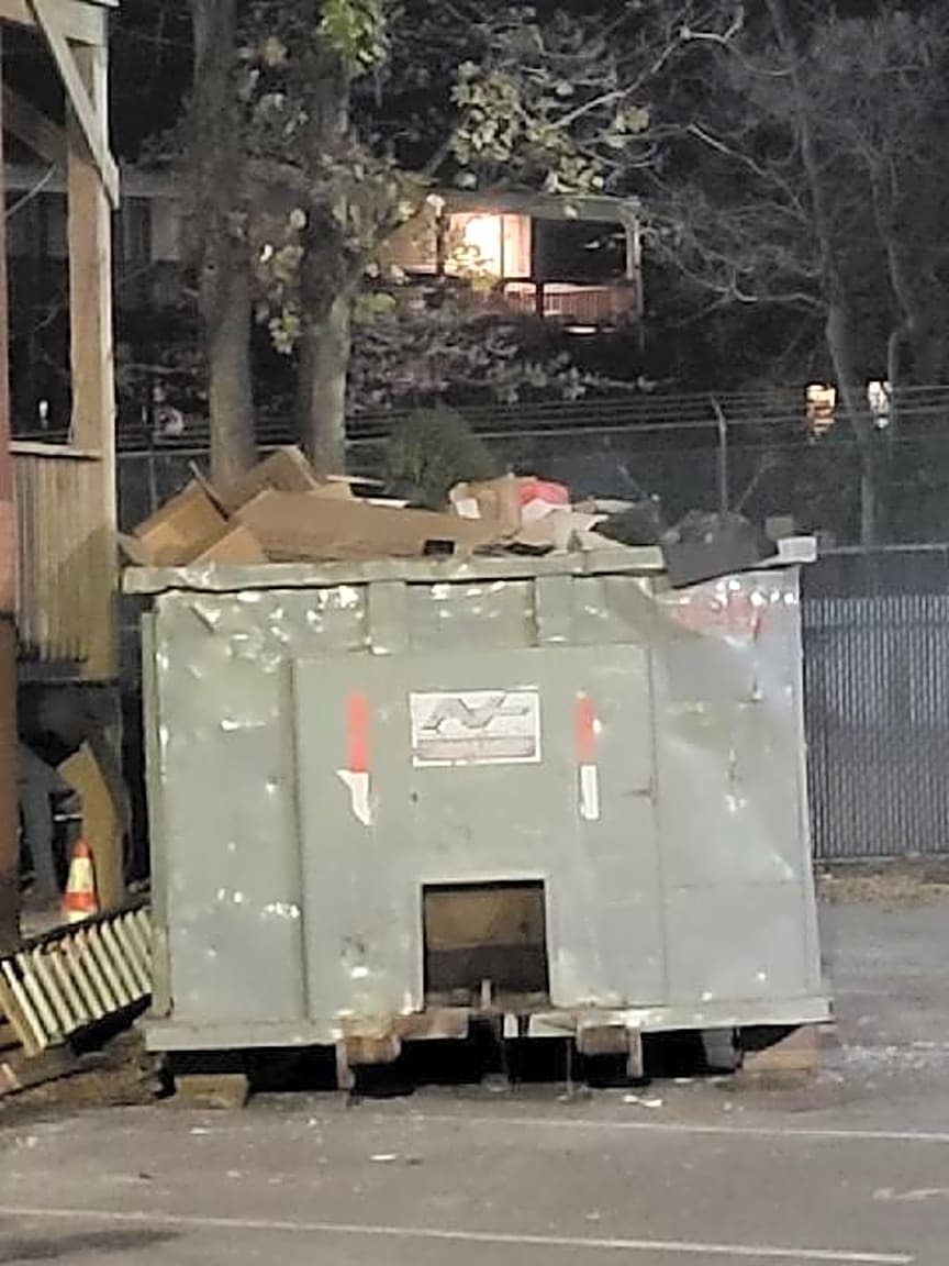 Image submitted with report