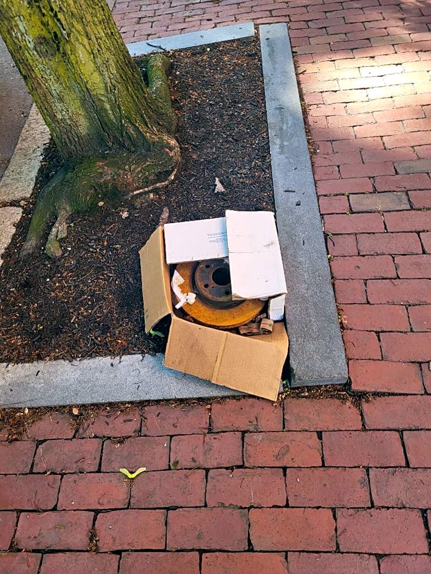 Image submitted with report