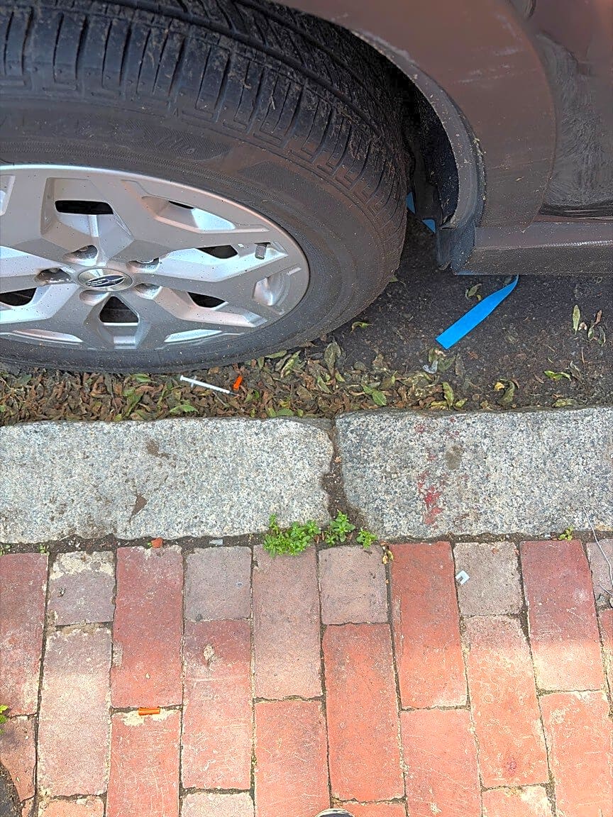Image submitted with report