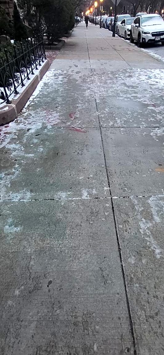 Image submitted with report