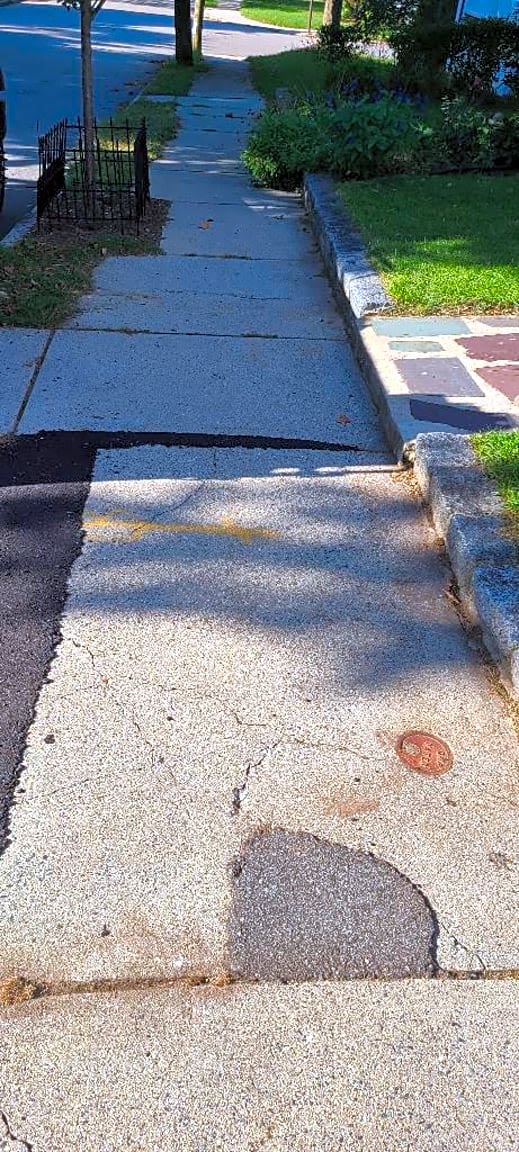 Image submitted with report