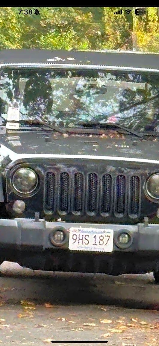 Image submitted with report