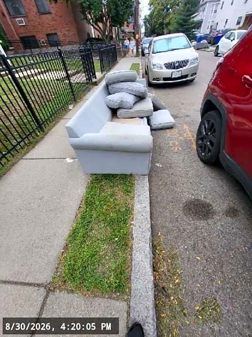 Image submitted with report