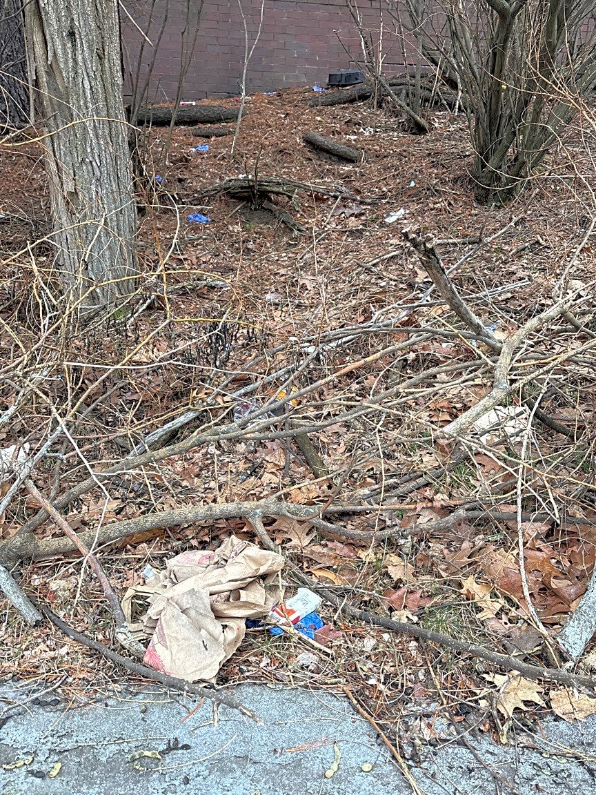 Image submitted with report