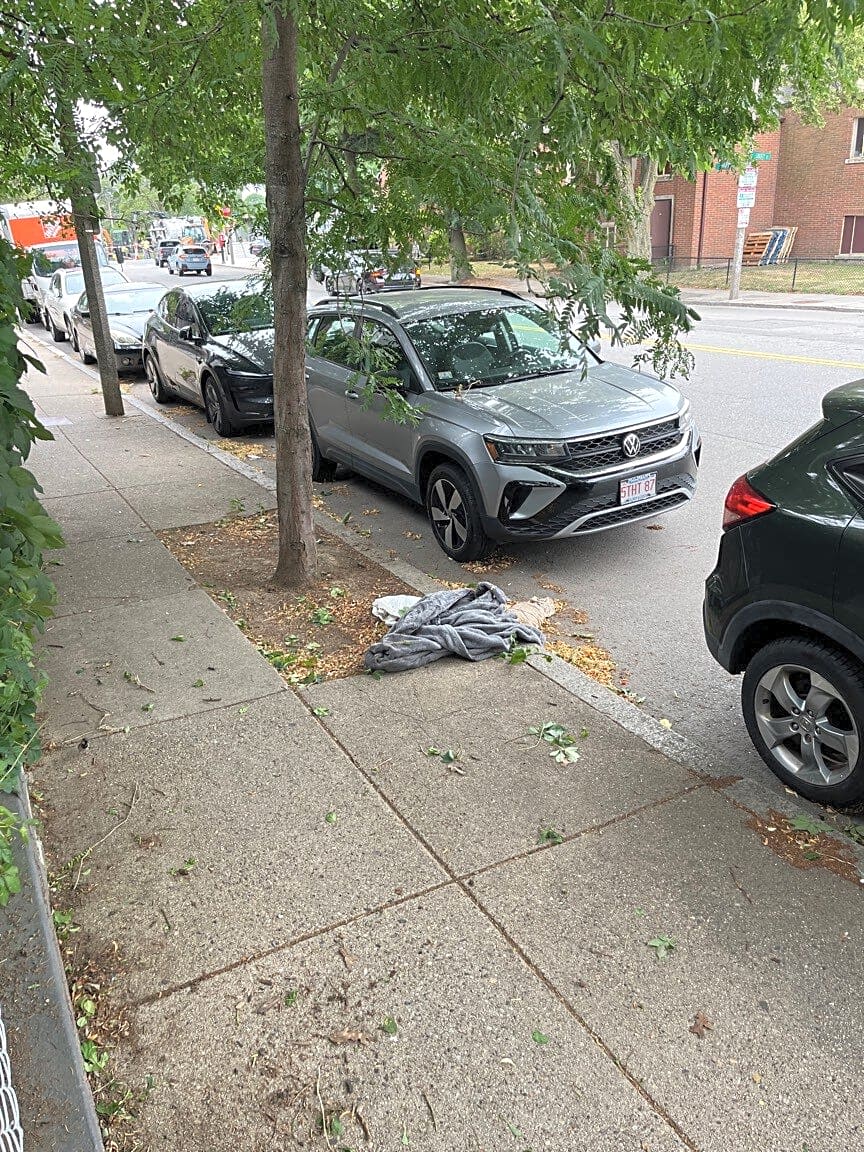 Image submitted with report