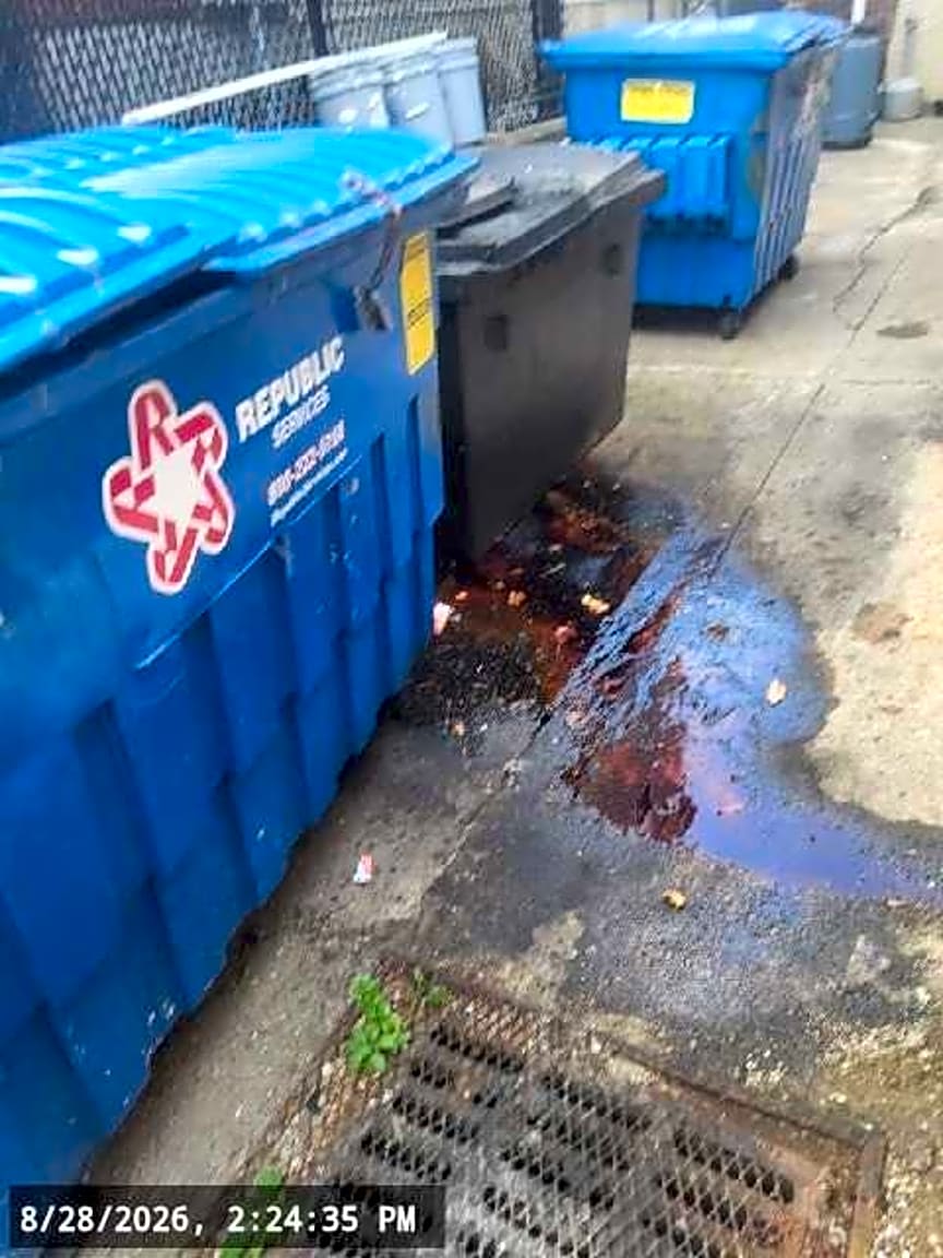 Image submitted with report