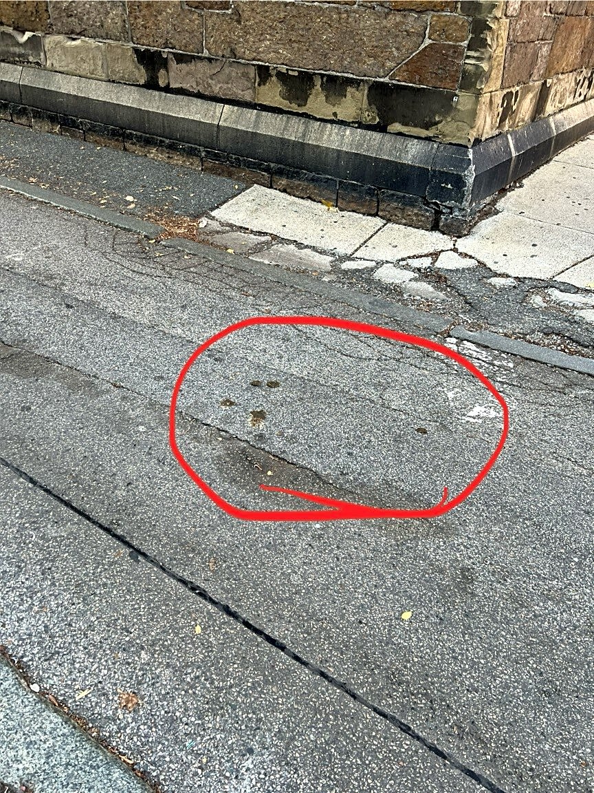 Image submitted with report