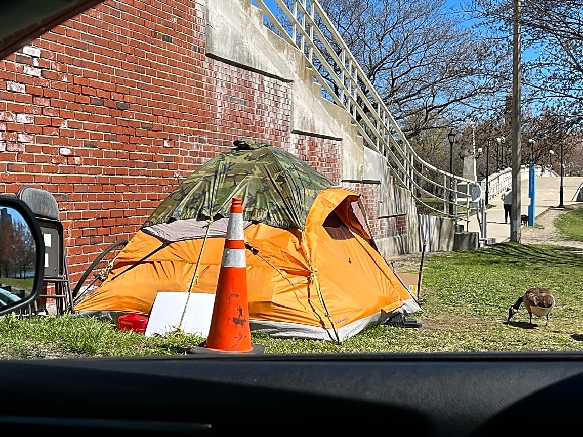 Image submitted with report