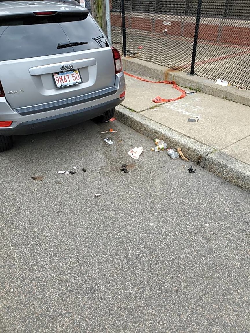 Image submitted with report