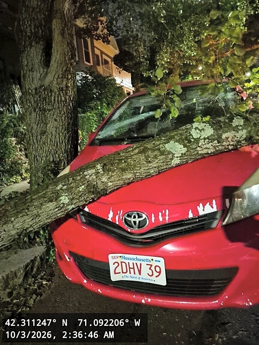 Image submitted with report