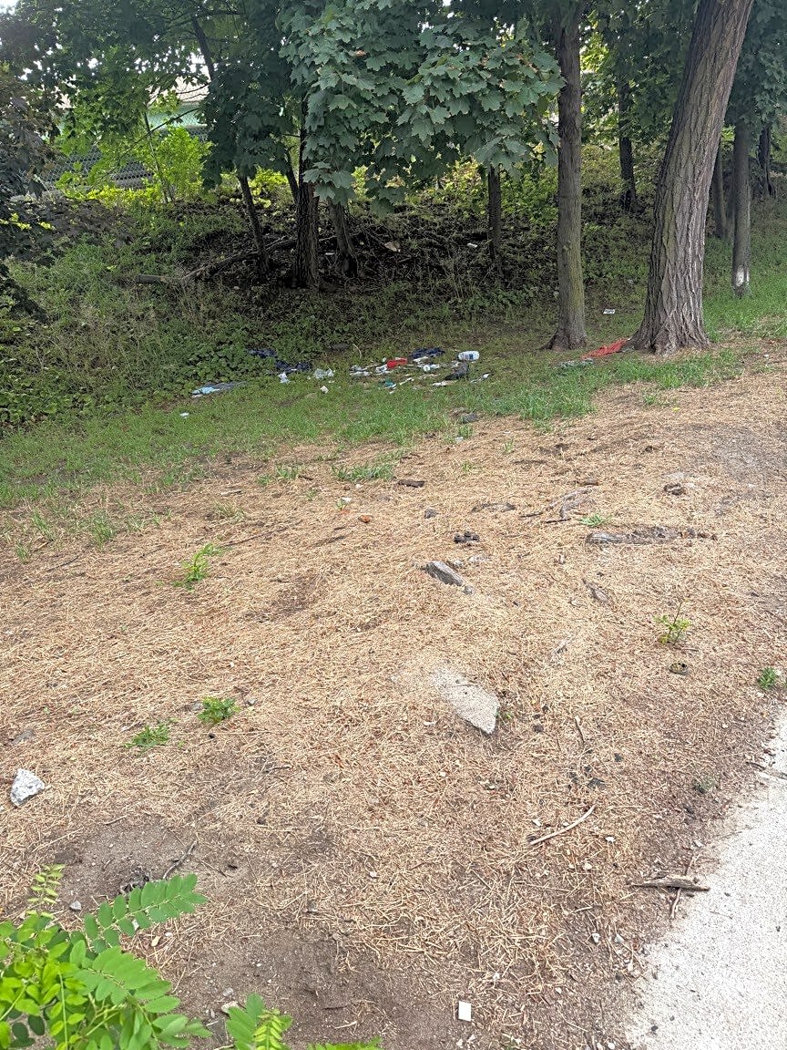 Image submitted with report