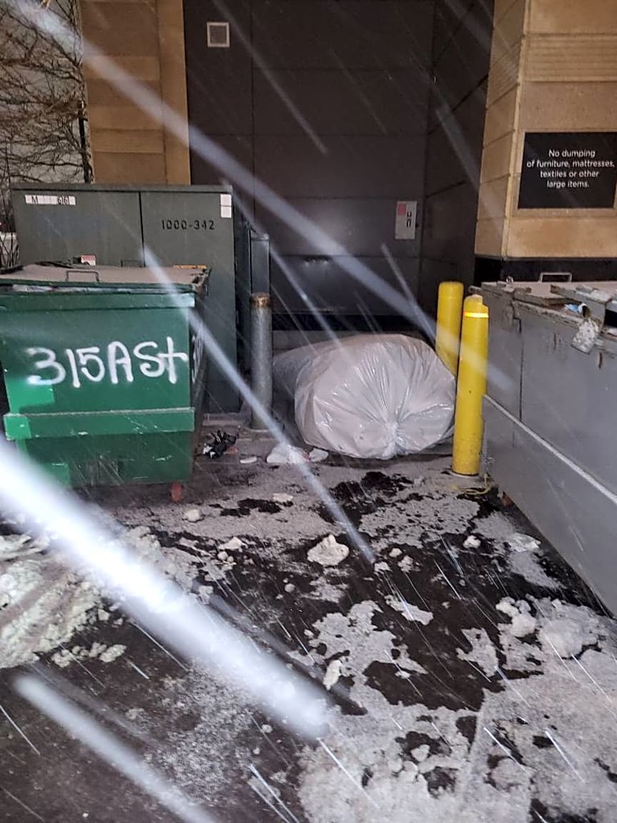 Image submitted with report