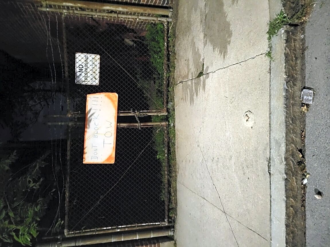Image submitted with report