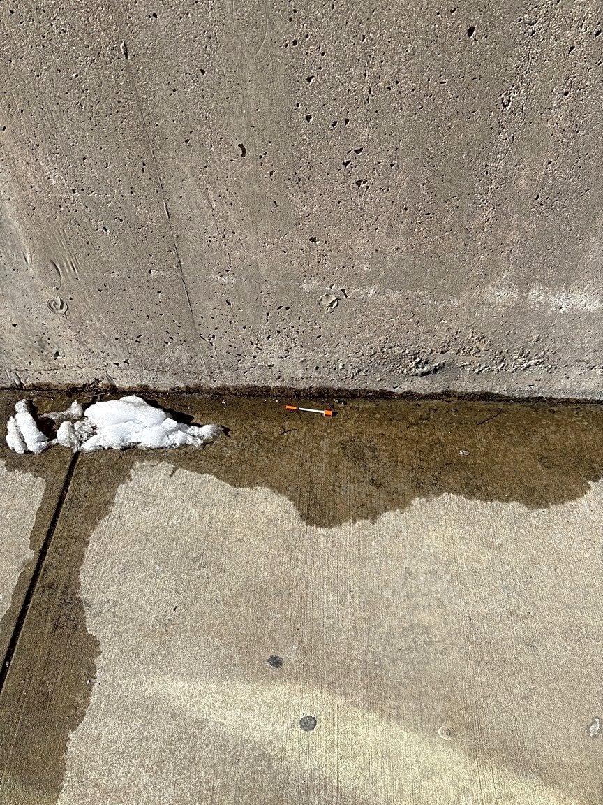 Image submitted with report