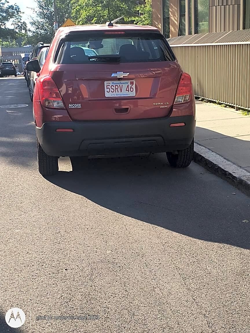 Image submitted with report