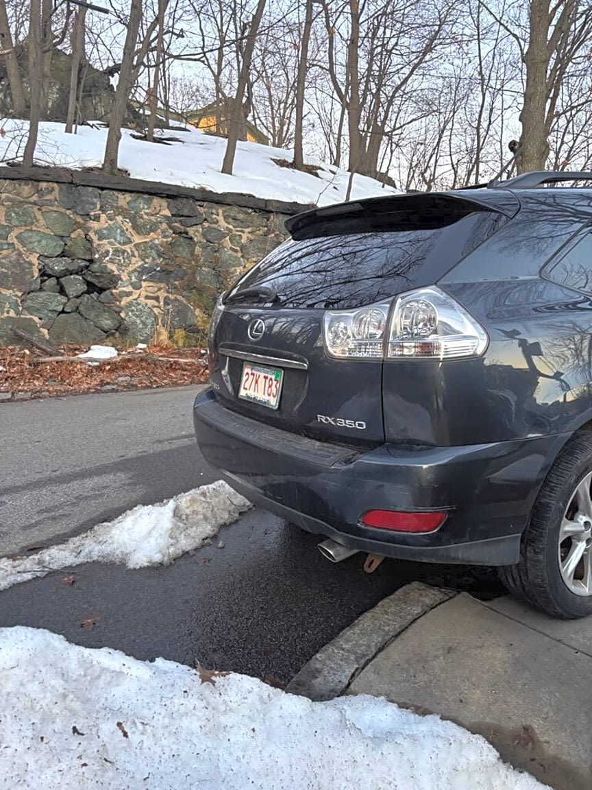 Image submitted with report