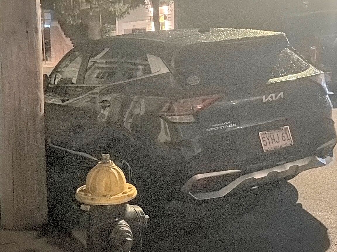 Image submitted with report