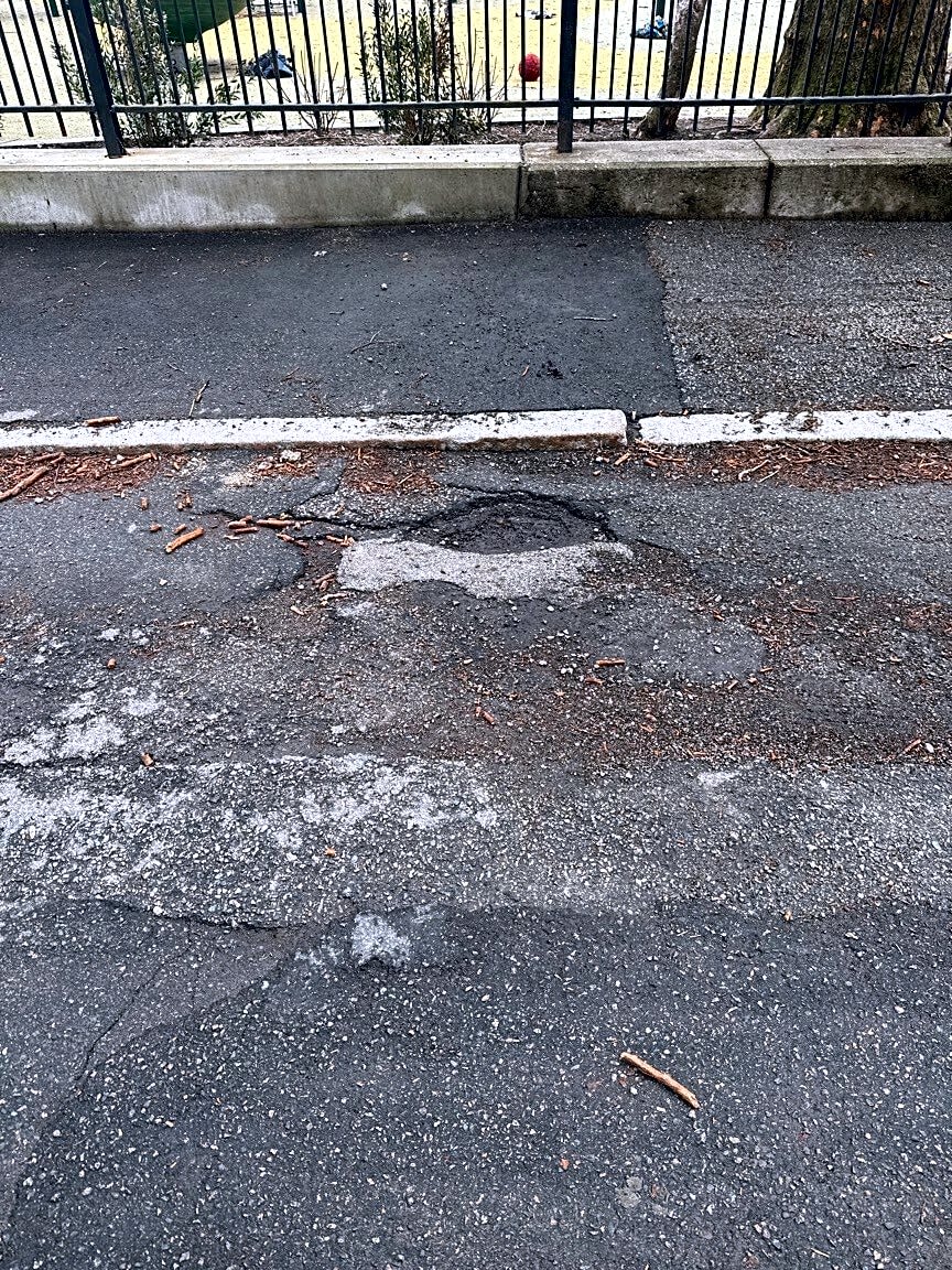 Image submitted with report