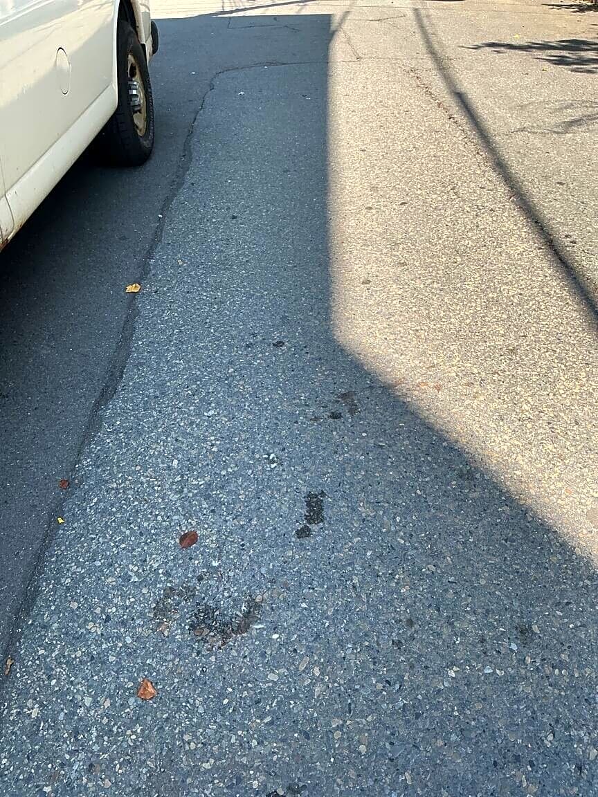 Image submitted with report
