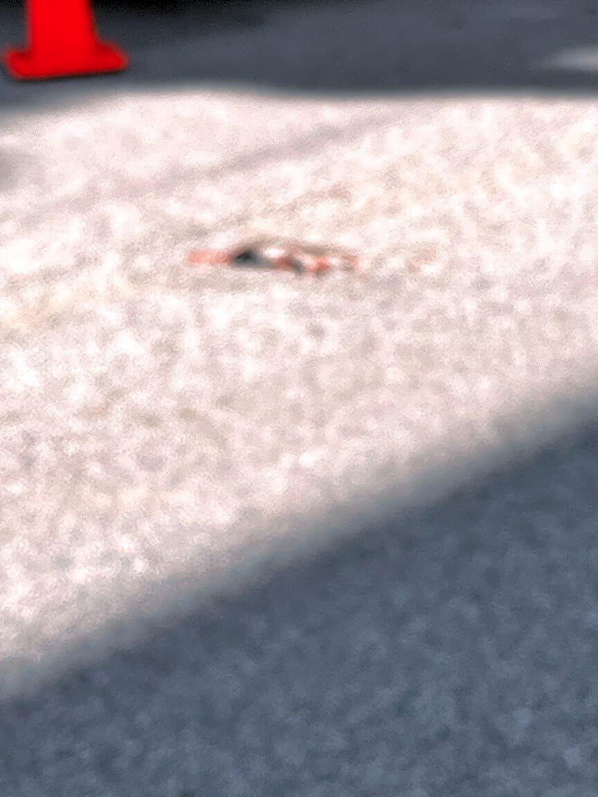 Image submitted with report