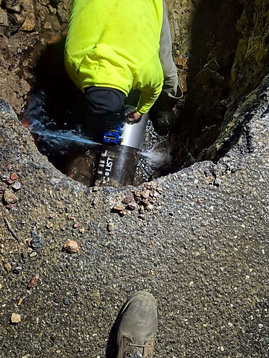 Image submitted with report