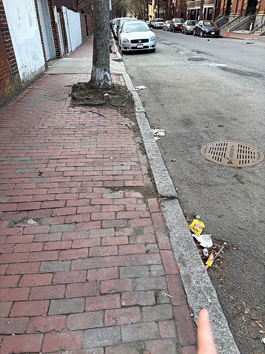 Image submitted with report