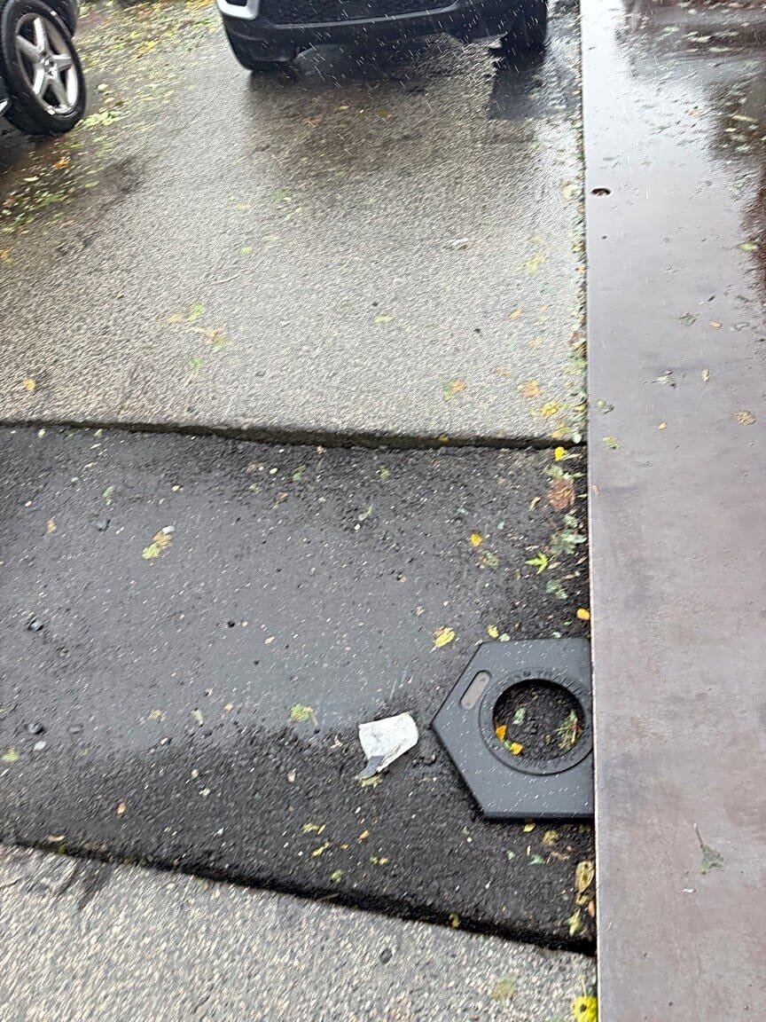 Image submitted with report