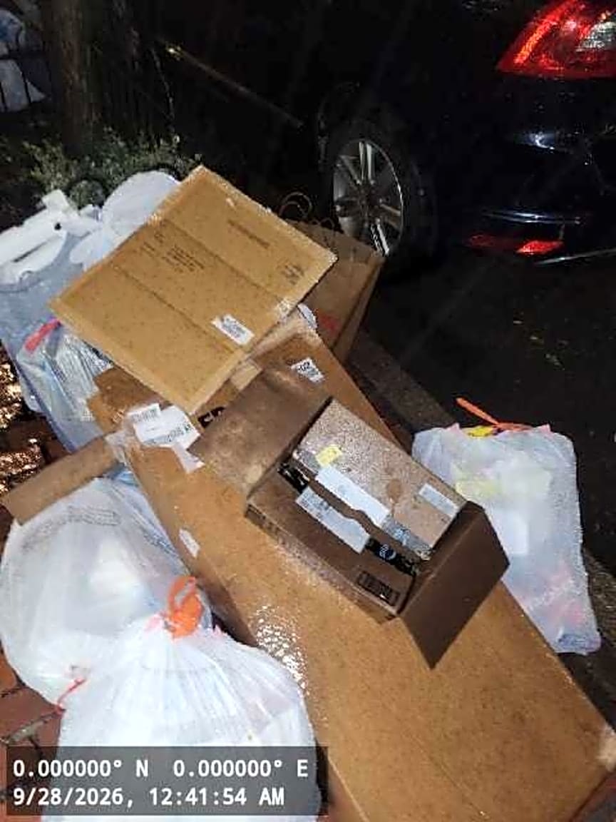 Image submitted with report
