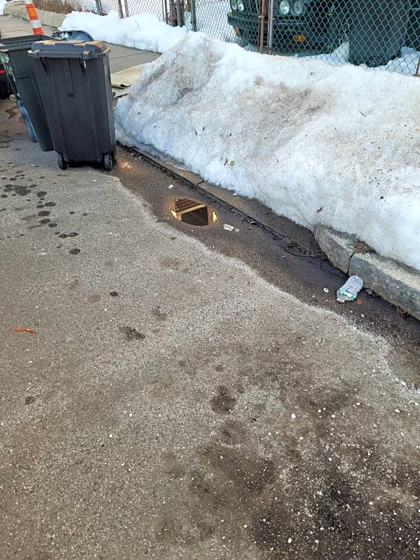 Image submitted with report