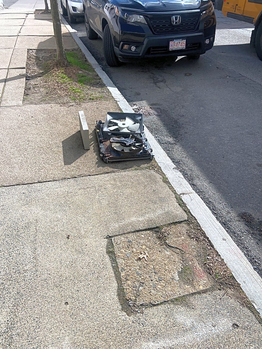 Image submitted with report