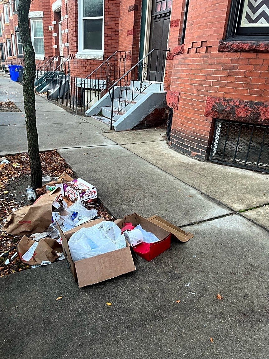 Image submitted with report