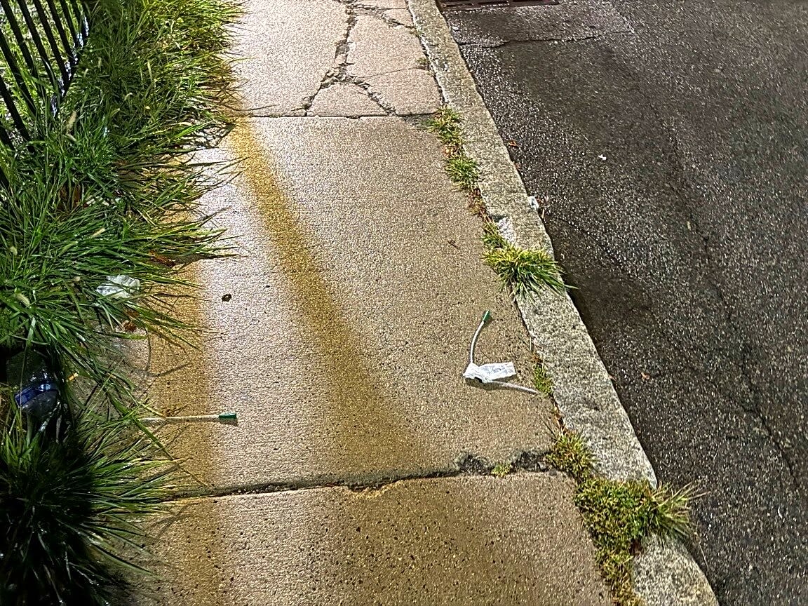 Image submitted with report