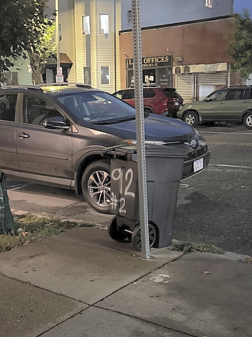 Image submitted with report