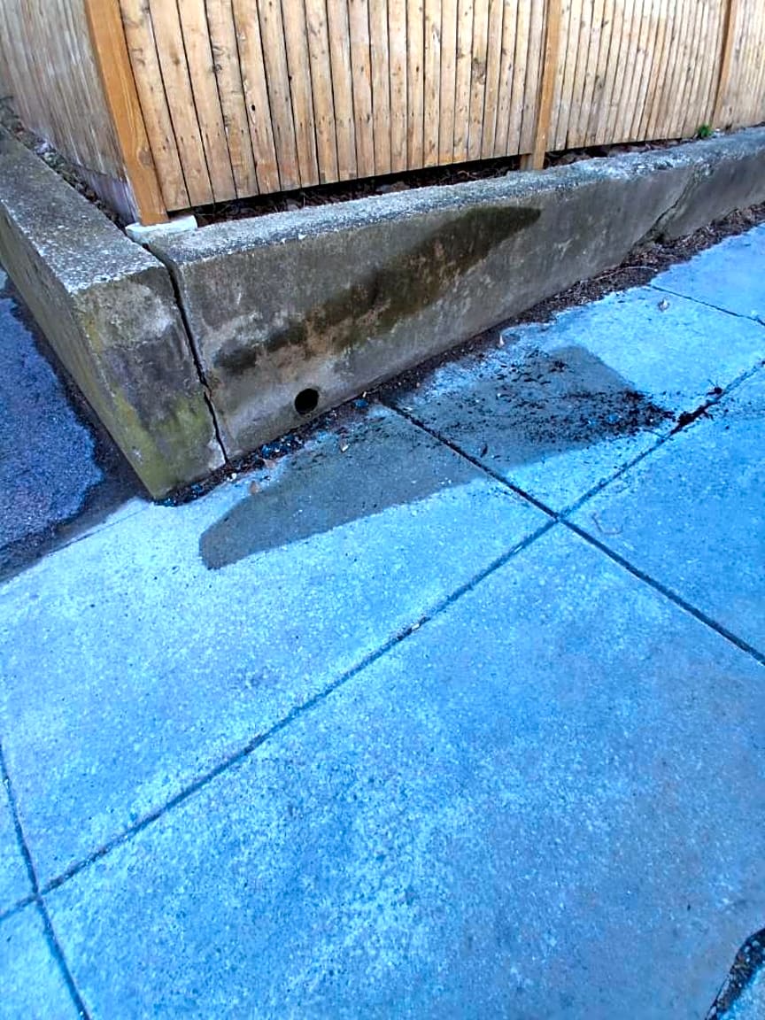 Image submitted with report