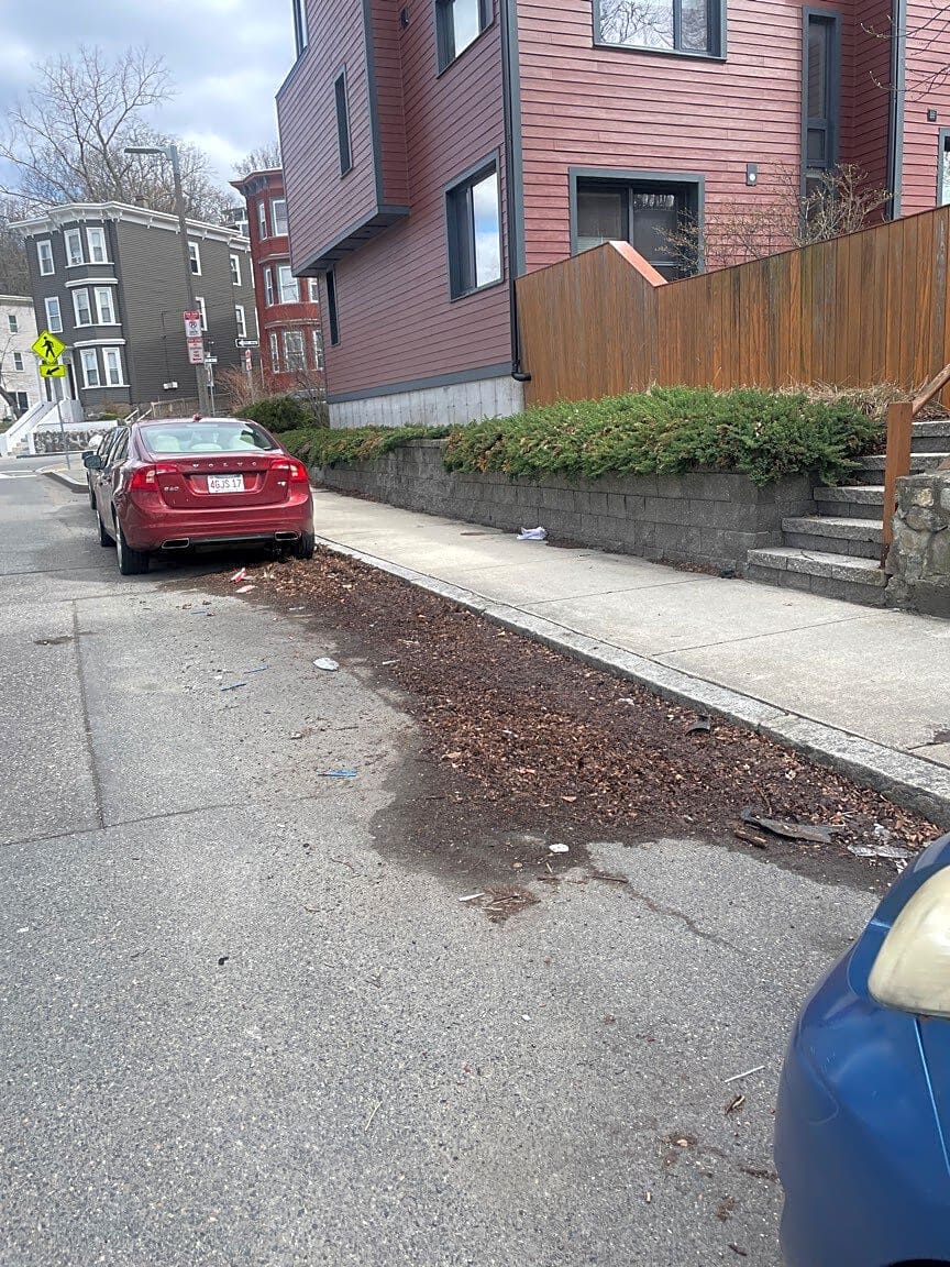 Image submitted with report