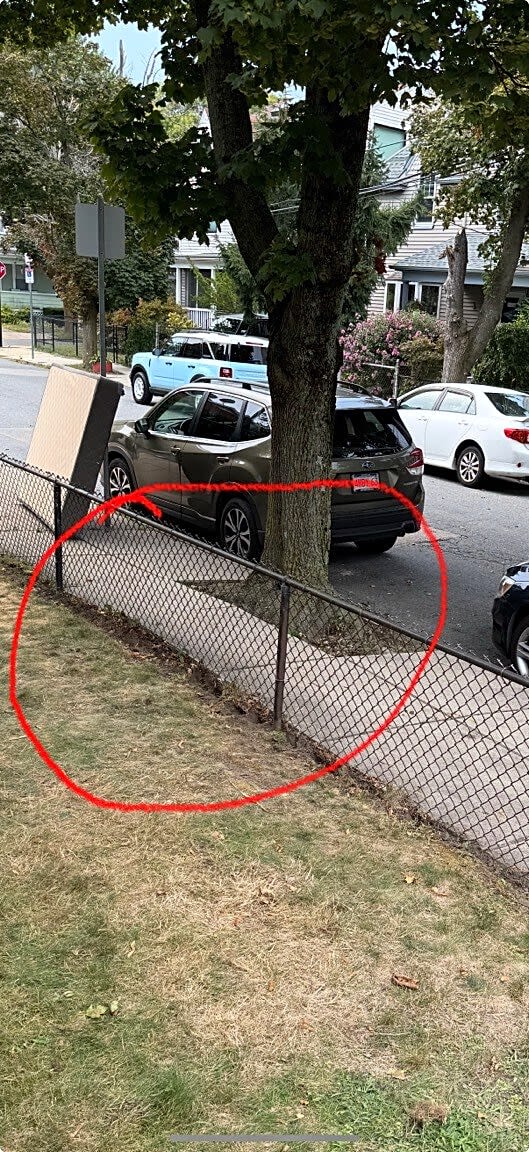 Image submitted with report