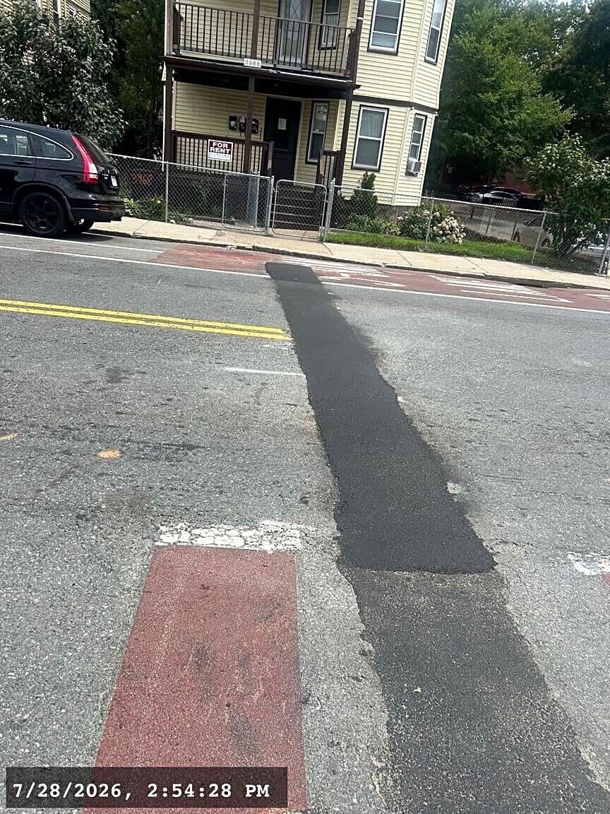 Image submitted with report