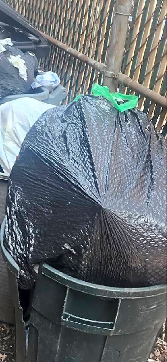 Image submitted with report