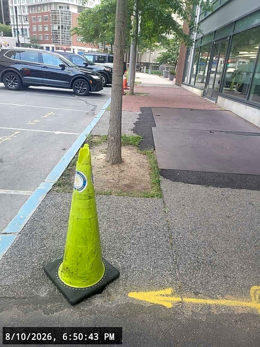 Image submitted with report