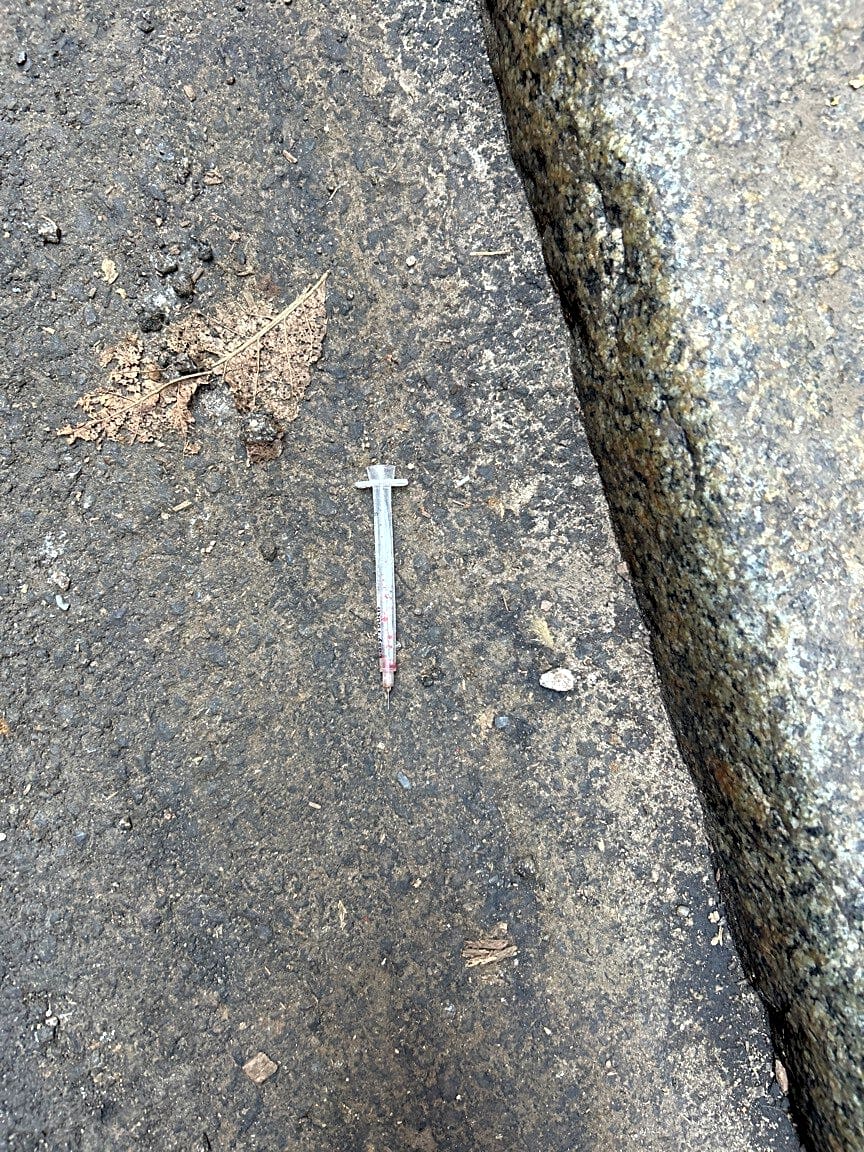 Image submitted with report